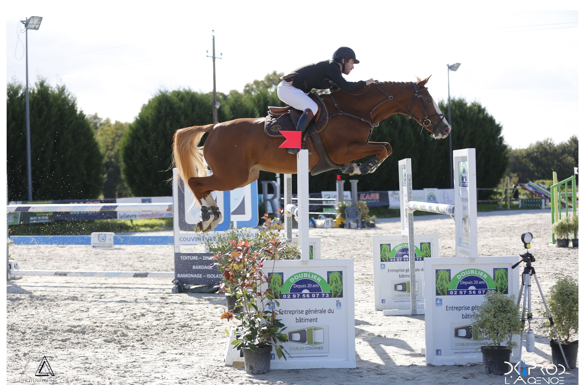 Cheval alezan franchissant un obstacle en concours de saut
